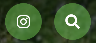 Instagram and Search icons
