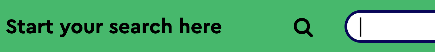 A search field with a visible border and cursor, showing that it has focus.