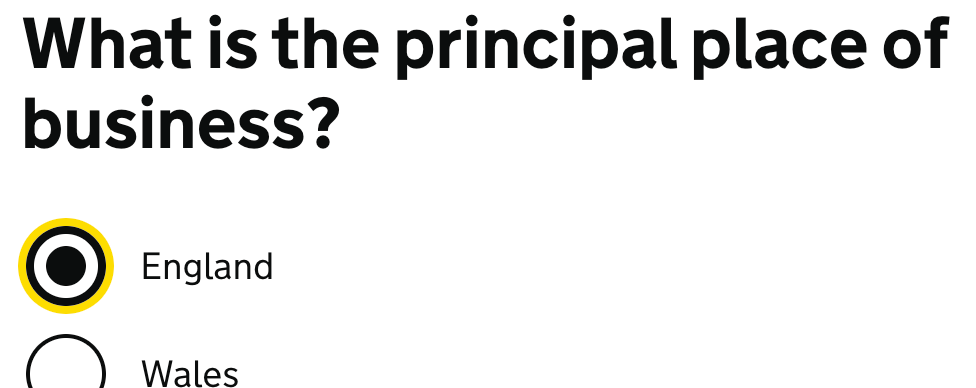 A selected radio button on GOV.UK