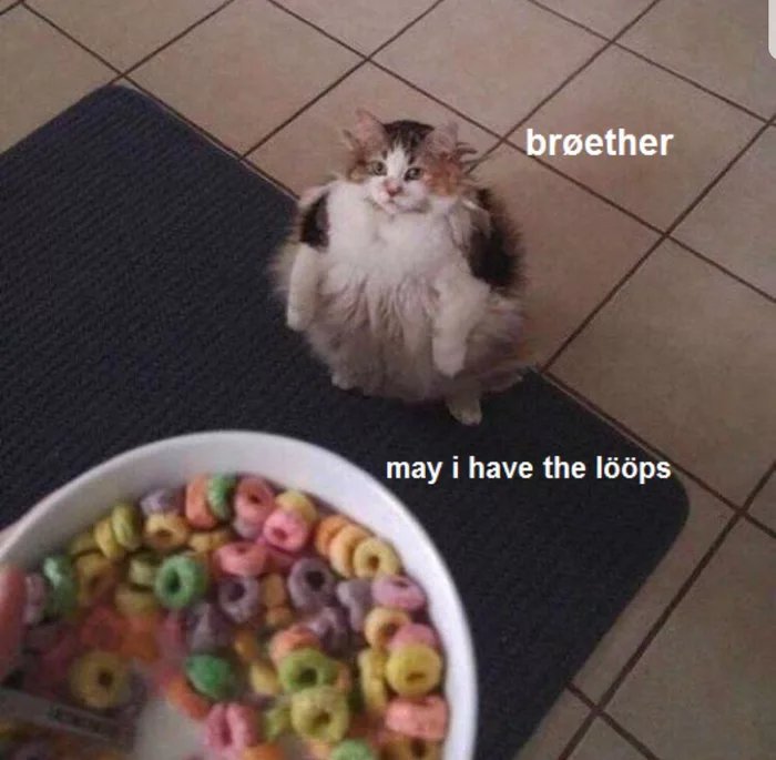 Meme where a cat looks at a bowl of fruit loops, and says 'brøether, may i have the lööps'